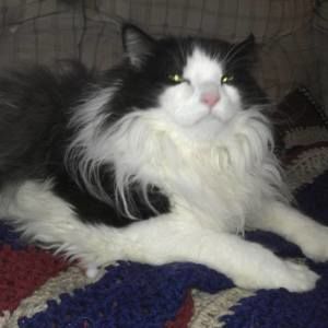 Meet your Posher, Donna